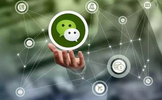 六月八大網(wǎng)絡(luò)謠言揭秘 這些騙局你上當(dāng)了嗎？